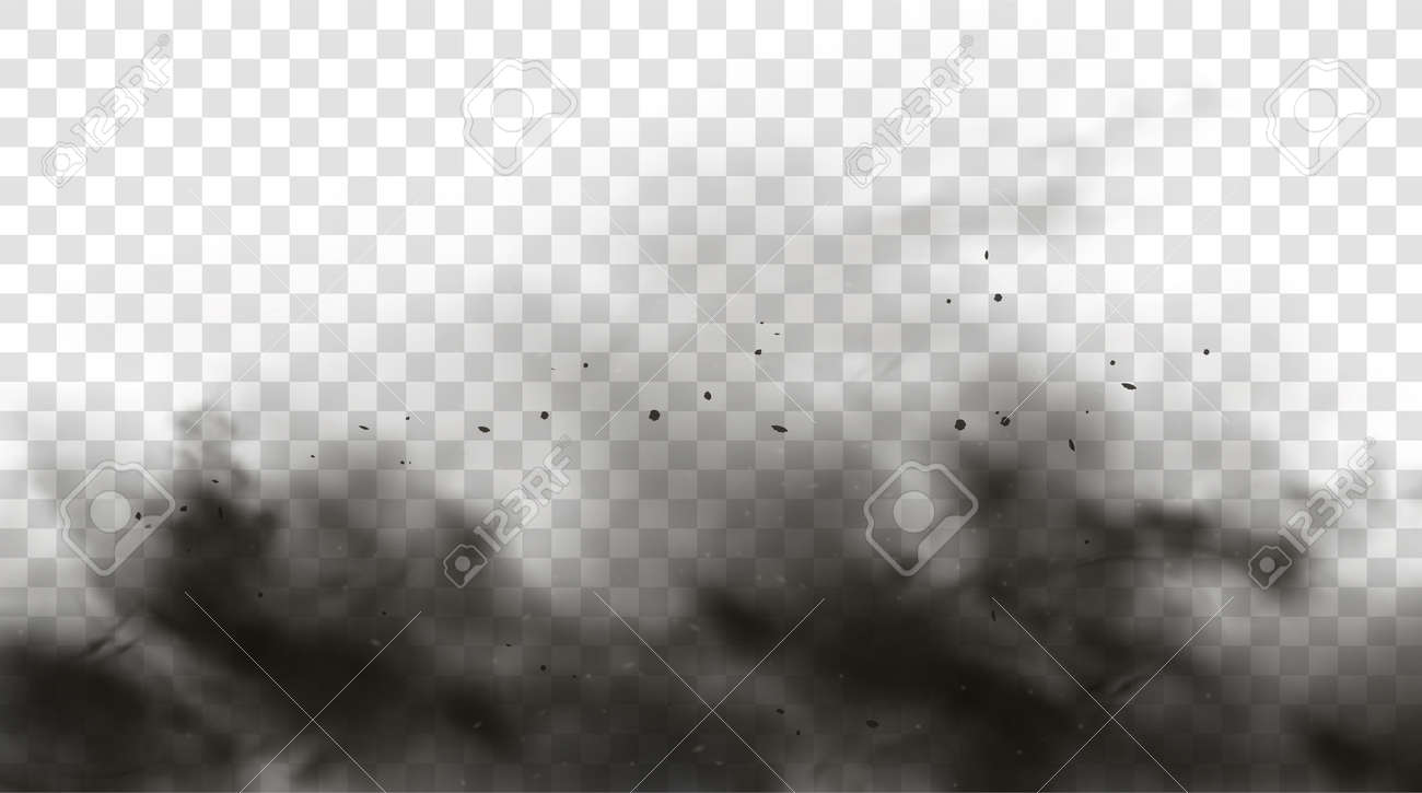 Black Smoke Or Fog Isolated On Transparent Light Background. Abstract Black  Powder Explosion With Particles. Colorful Dust Cloud Explode, Paint Holi,  Mist Smog Effect. Realistic Vector Illustration. Royalty Free SVG,  Cliparts, Vectors,, image size:1300x725