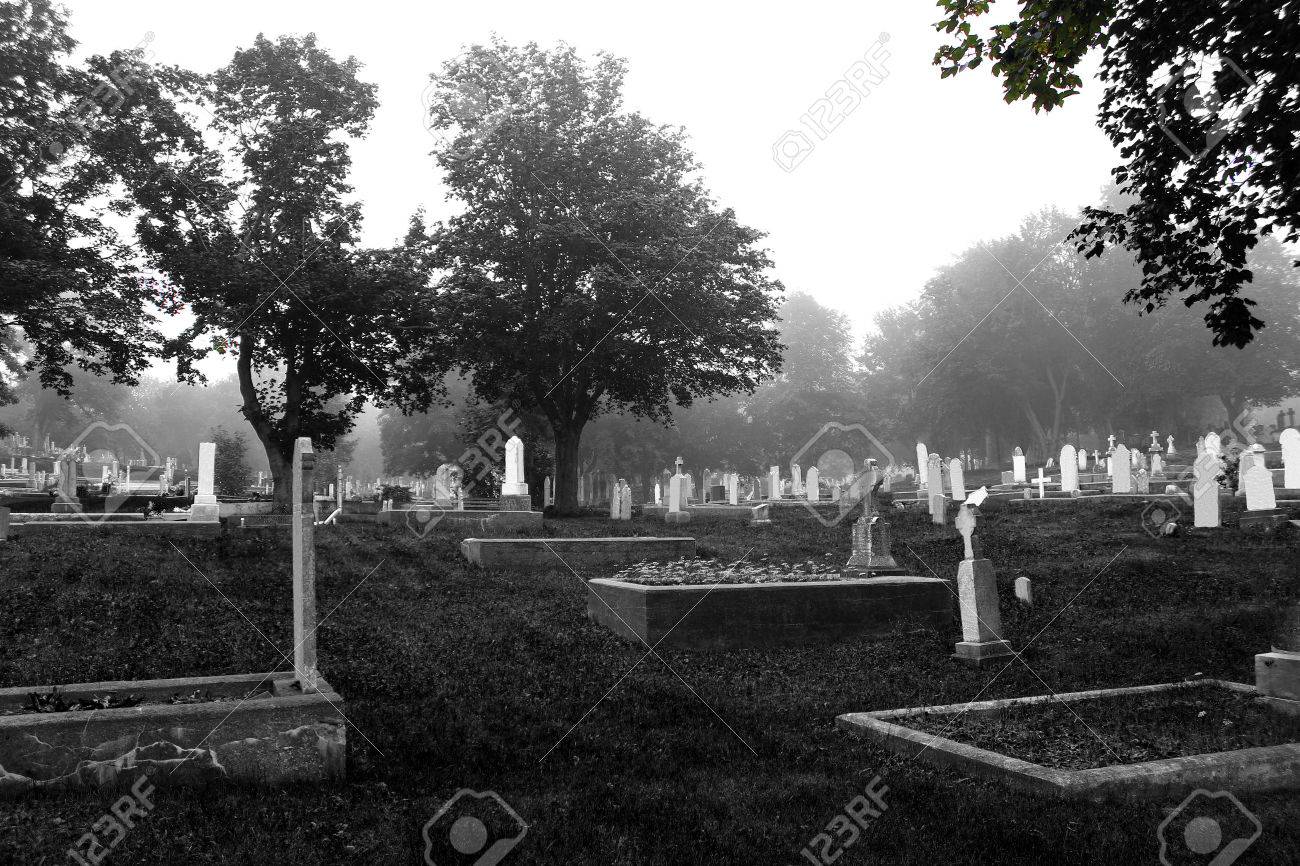 Cimetiere Noir Et Blanc Banque D Images Et Photos Libres De Droits Image