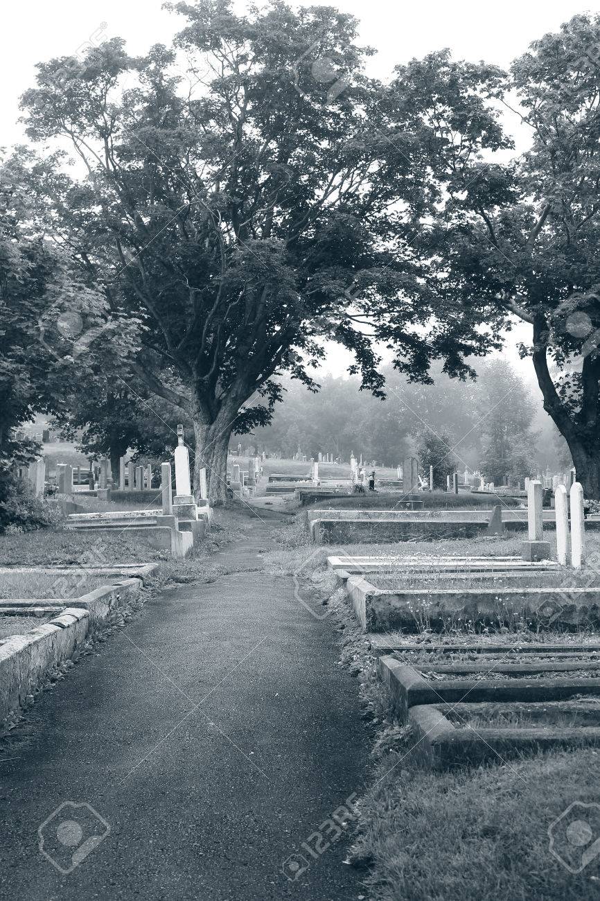 Cimetiere Noir Et Blanc Banque D Images Et Photos Libres De Droits Image