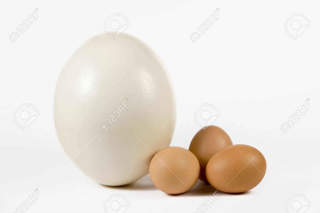 Ostrich Egg And Hen Eggs The Size Comparing Stock Photo Picture And Royalty Free Image Image 2585555