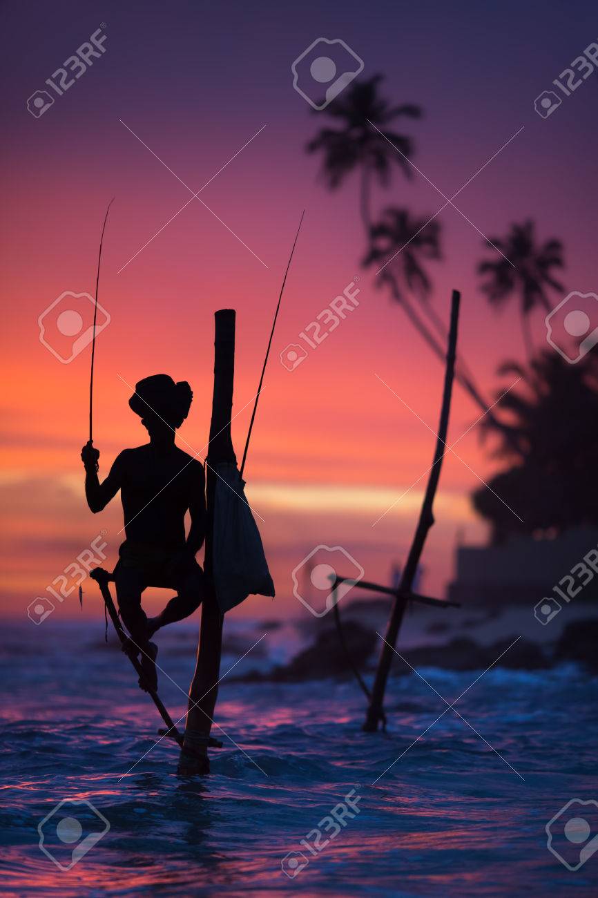 Sri Lanka's Stilt Fisherman. Fishing on stilt is very common in many Asian countries, but most of all - in Sri Lanka, in the Ahangama village. - 81999977 Sri Lanka's Stilt Fisherman. Fishing on stilt is very common in many Asian countries, but most of all - in Sri Lanka, in the Ahangama village. - 81999977