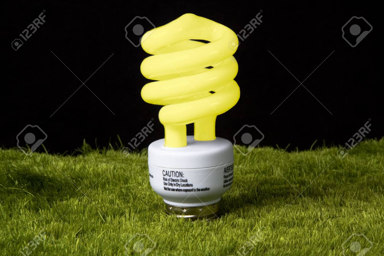 Efficienza Energetica Delle Lampadine In Erba Che è Di Colore Giallo Per Mostrare La Luce è Il