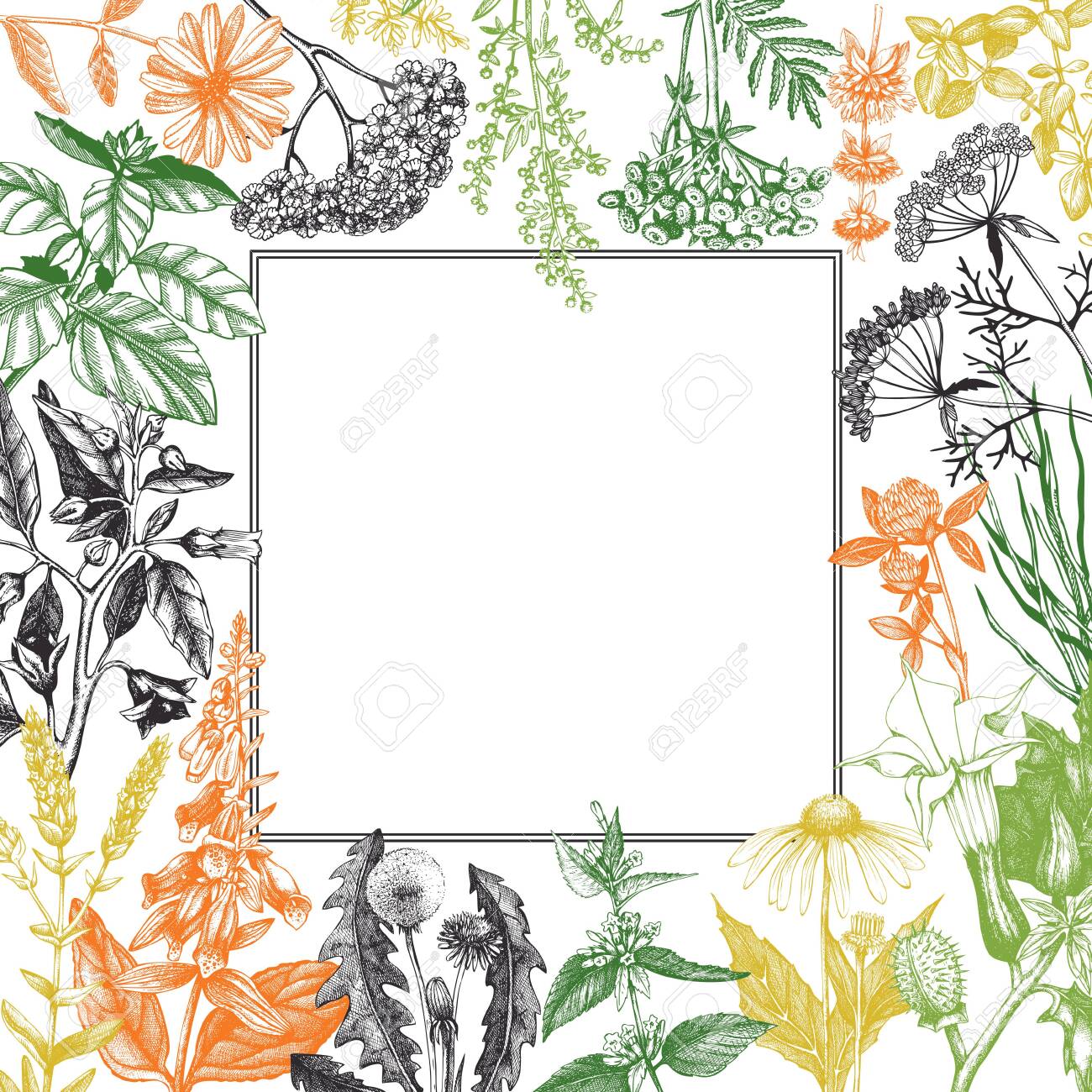 Vector card design with hand drawn herbs and weeds illustration. Decorative inking background with vintage plants sketch. Sketched floral template - 122852123 Vector card design with hand drawn herbs and weeds illustration. Decorative inking background with vintage plants sketch. Sketched floral template - 122852123