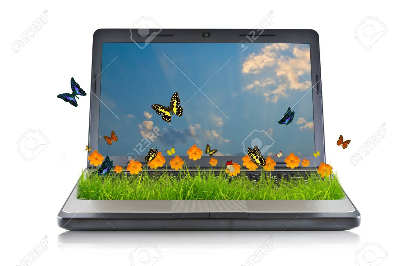 laptop isolated with yellow