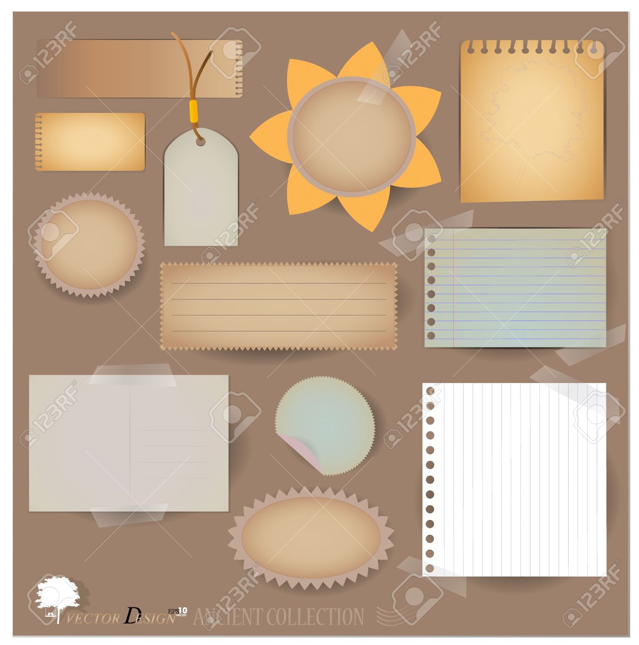 paper layouts