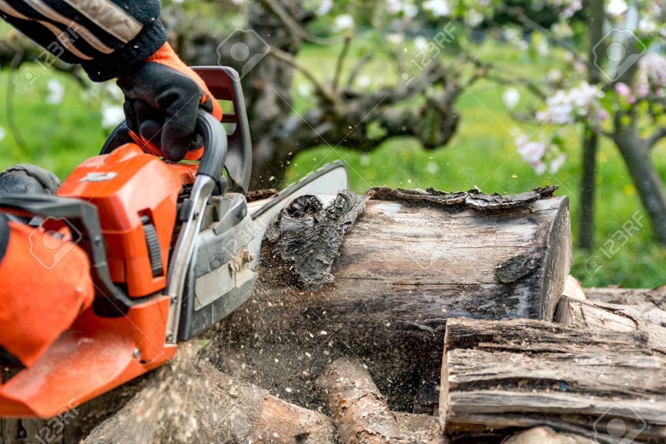 firewood saws with a
