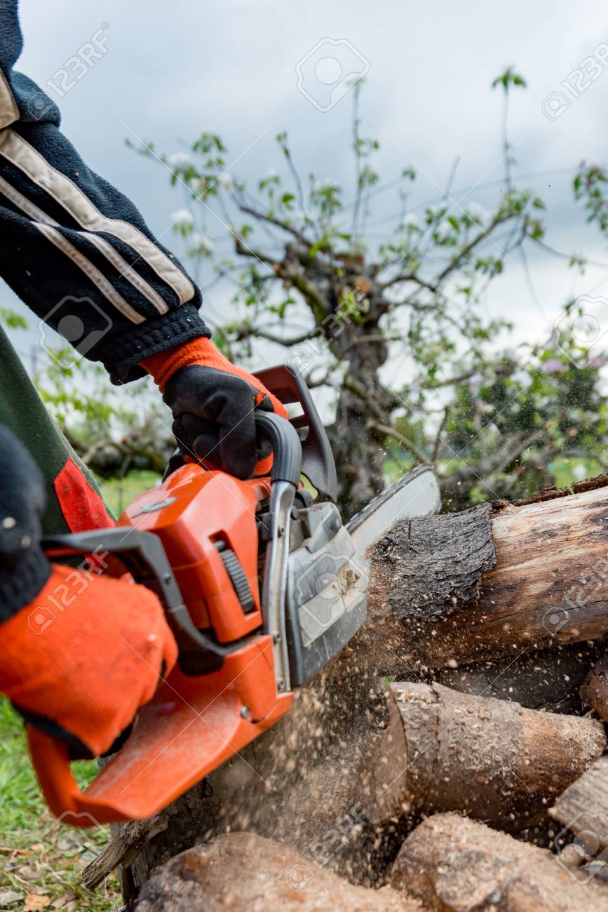 firewood saws with a