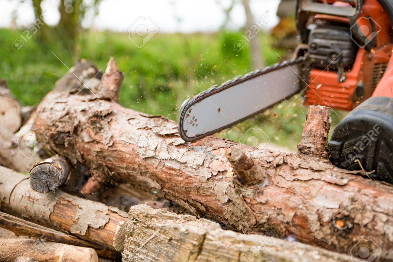 firewood saws with a