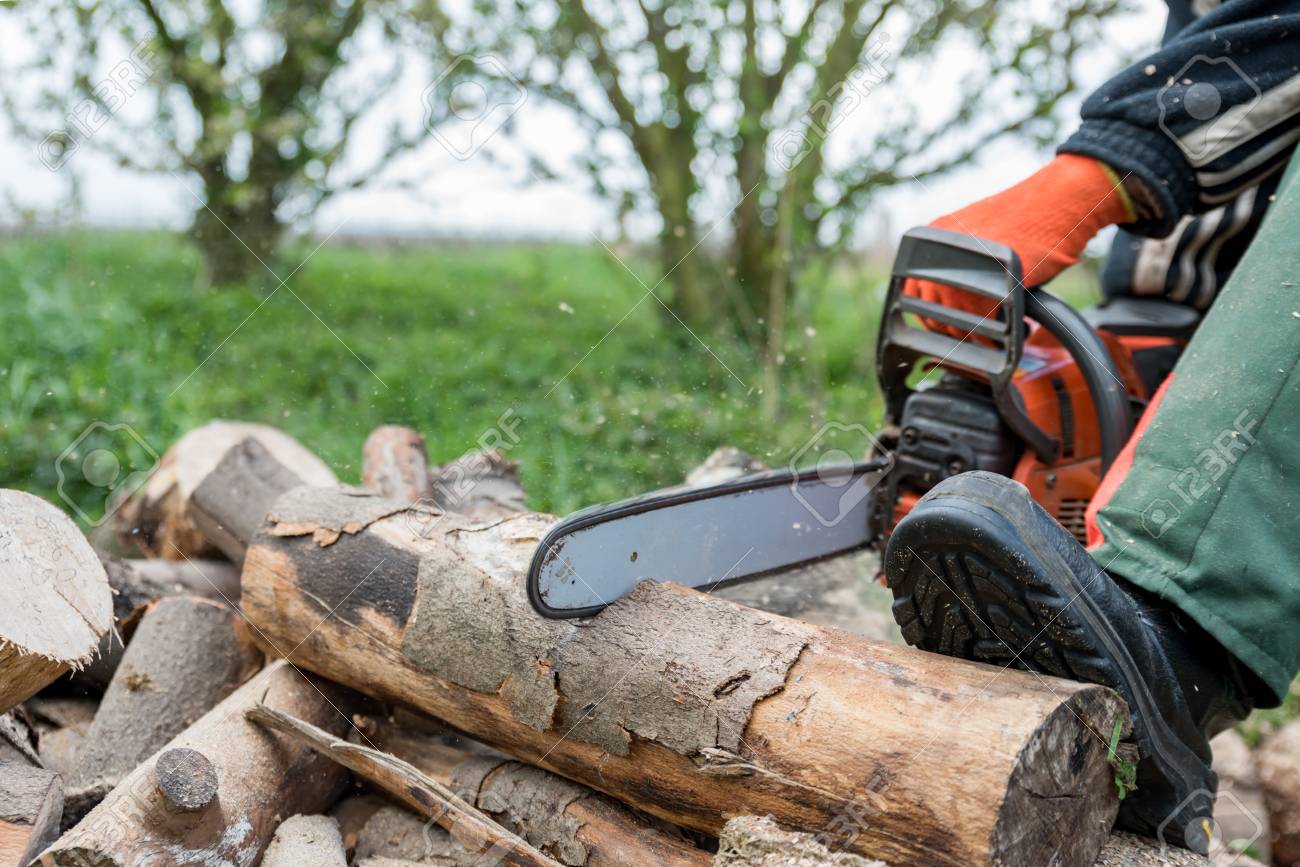 firewood saws with a