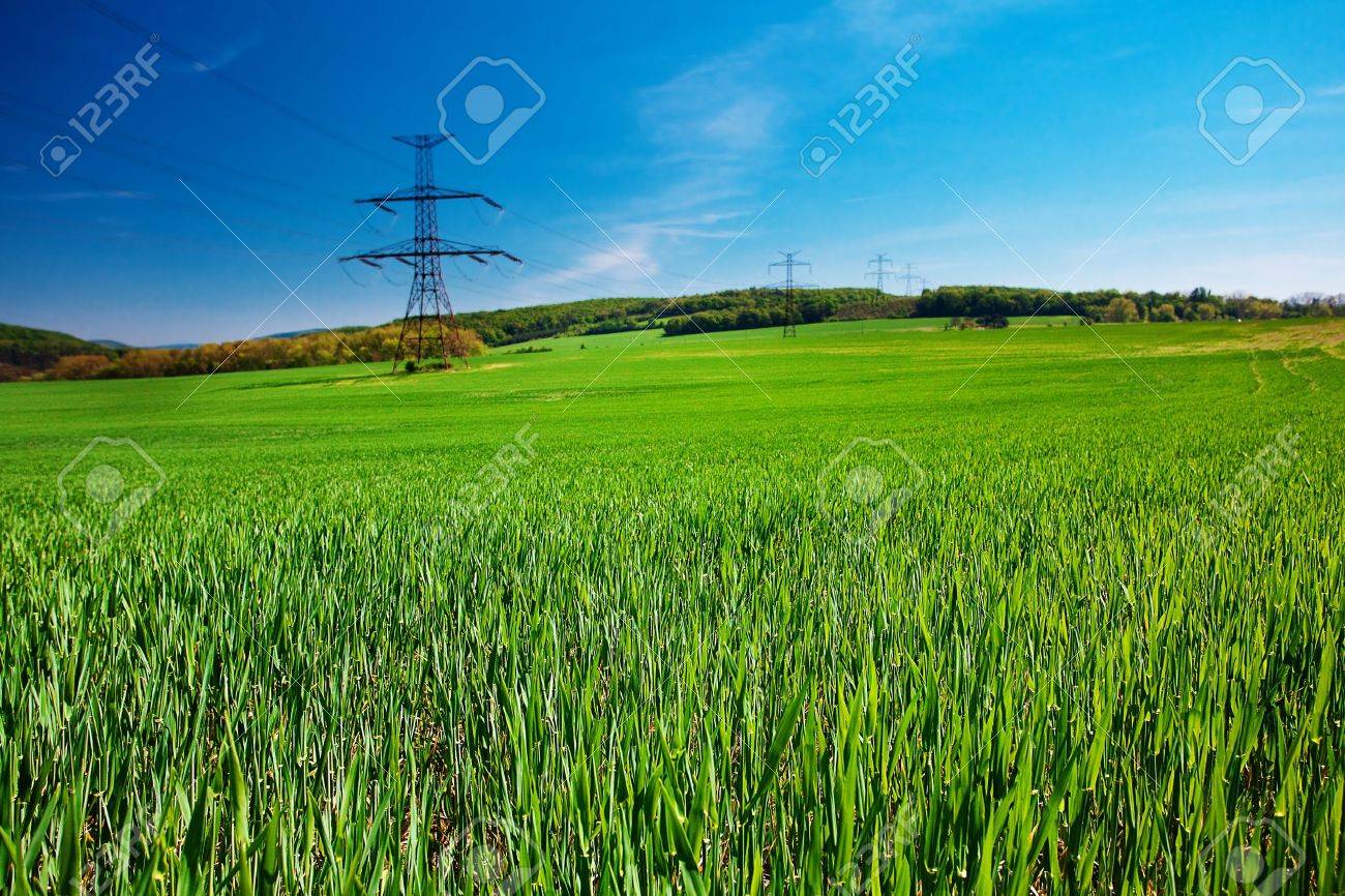 meadow and power line against the blue sky - 9880215 meadow and power line against the blue sky - 9880215