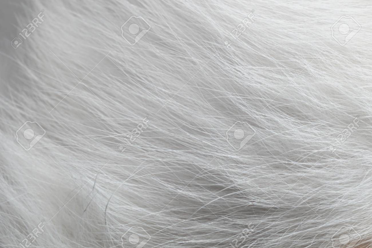 Dumb laws in wisconsin about dating Free natural and hairy