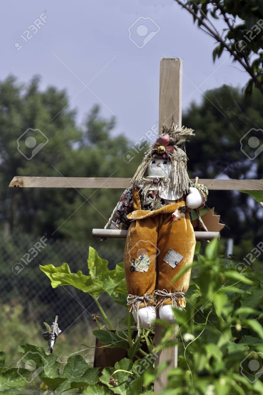 a scarecrow on wooden crossbars in a city garden patch stock photo