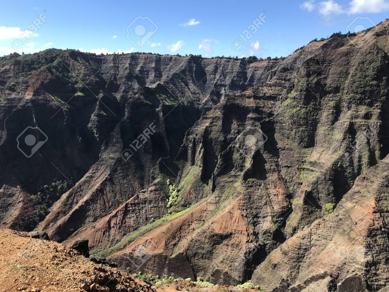 etiam-dictum-ipsum-a-felis