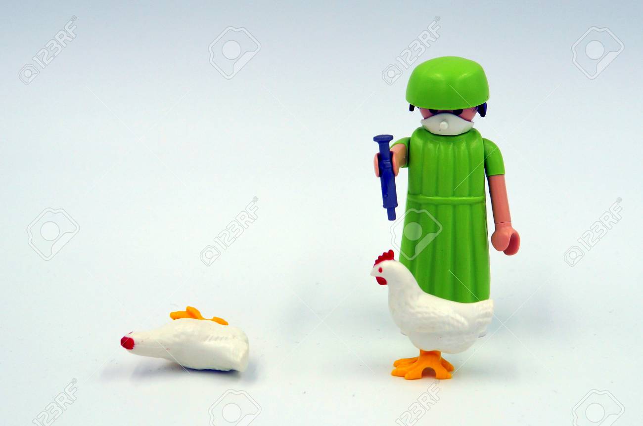 playmobil veterinarian