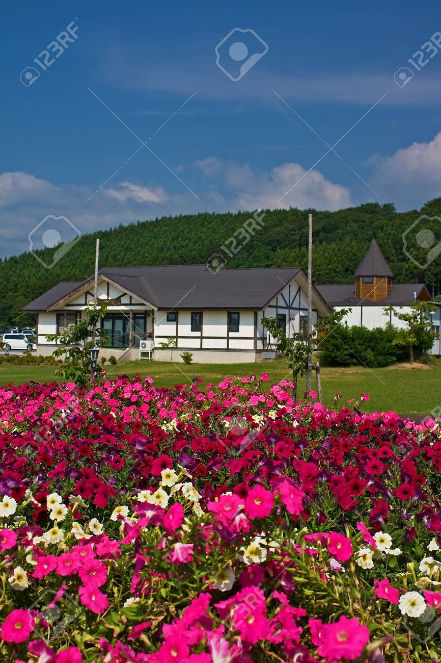 etiam-dictum-ipsum-a-felis