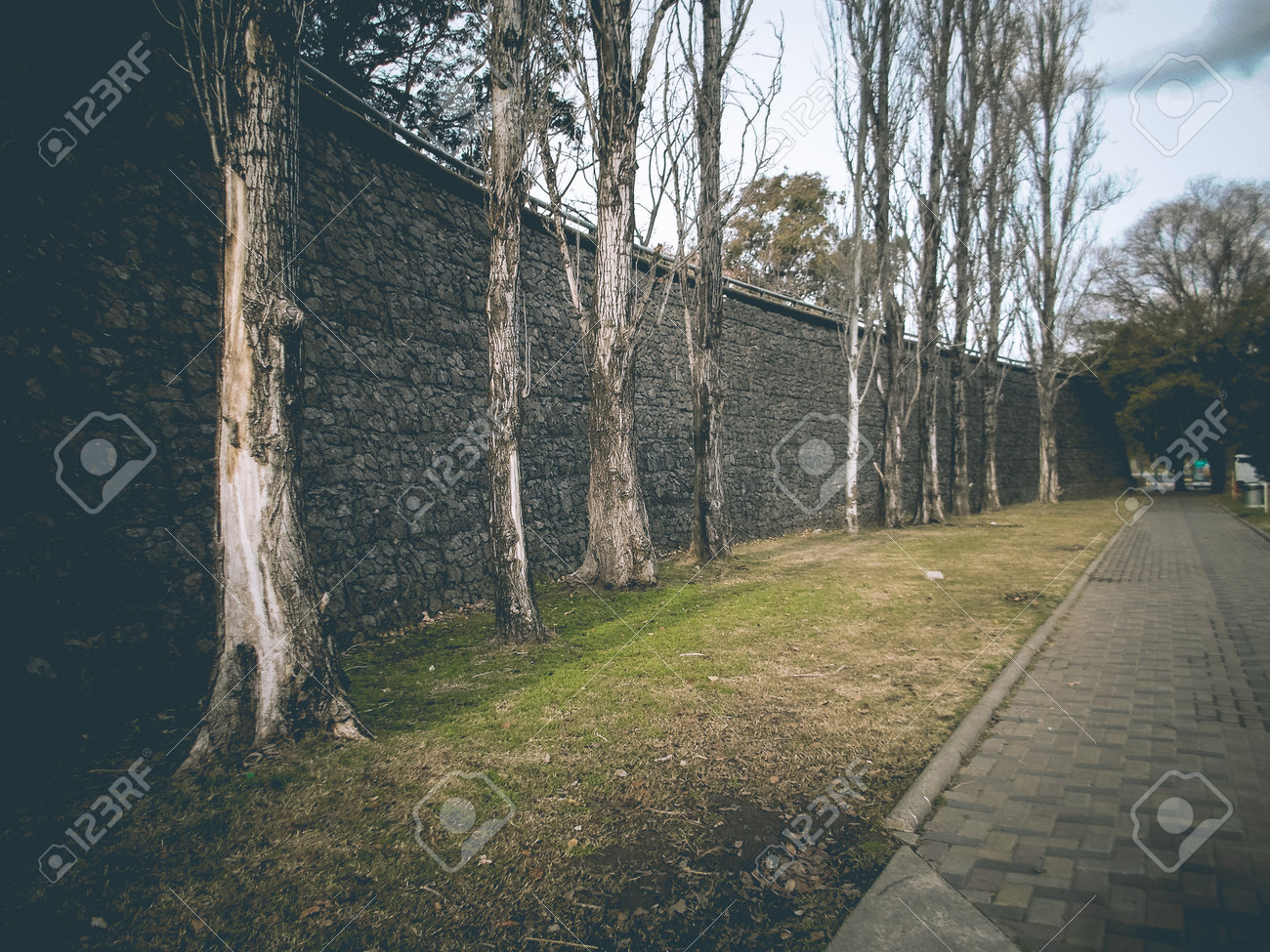 etiam-dictum-ipsum-a-felis