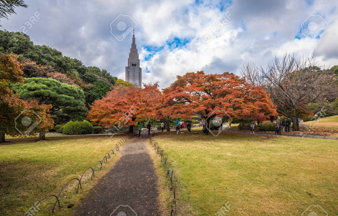 秋には 東京都の新宿御苑 の写真素材 画像素材 Image
