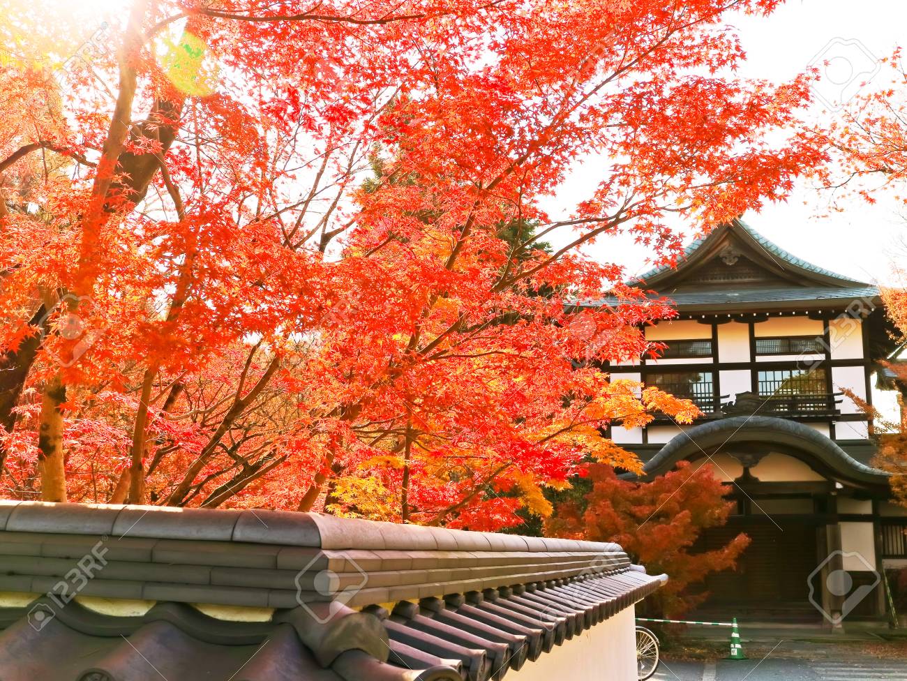 Kyoto Japan December 5 15 View Of Colorful Autumn Foliage In The Zenrin Ji Temple In Kyoto On December 5 15 Stock Photo Picture And Royalty Free Image Image