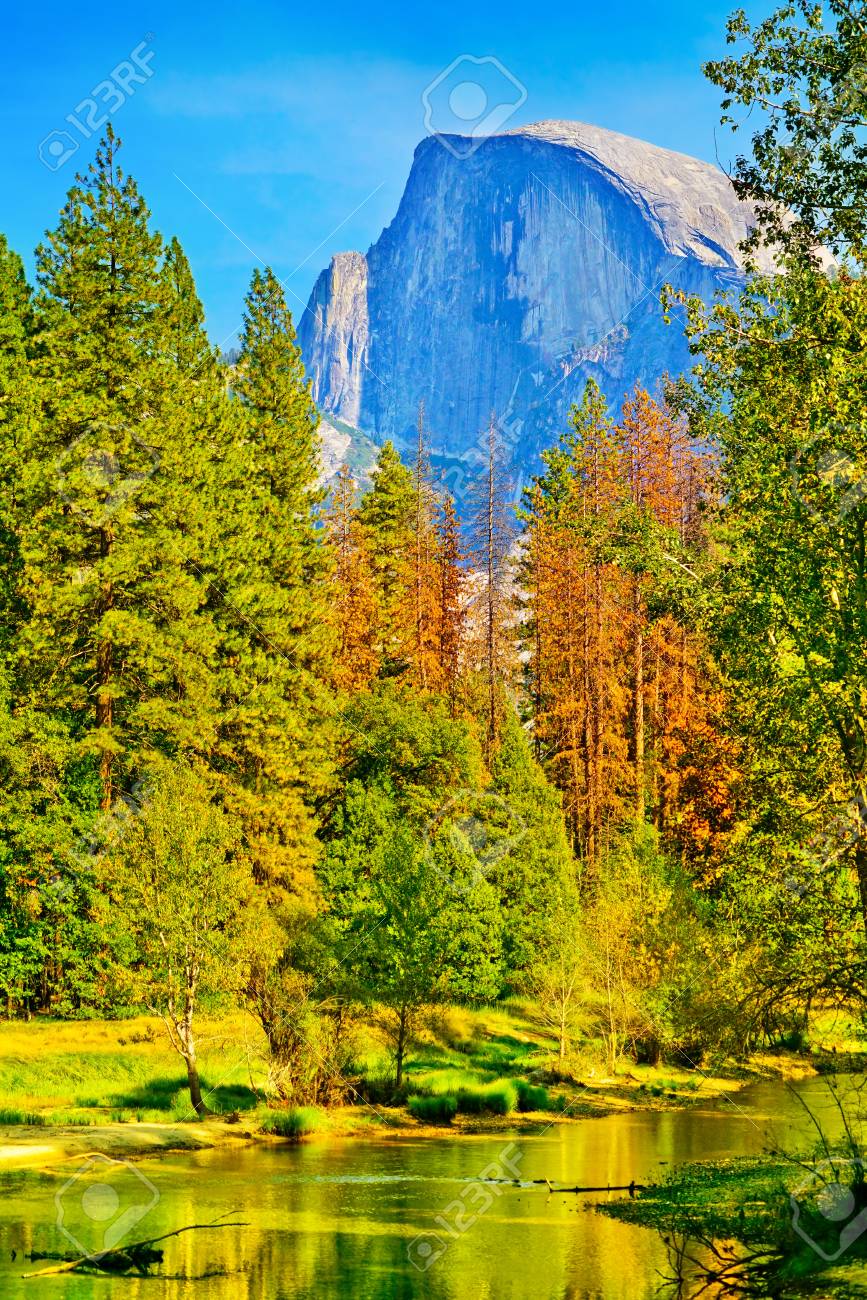 秋のヨセミテ国立公園のヨセミテ渓谷からのハーフドームとマーセド川の眺め の写真素材 画像素材 Image