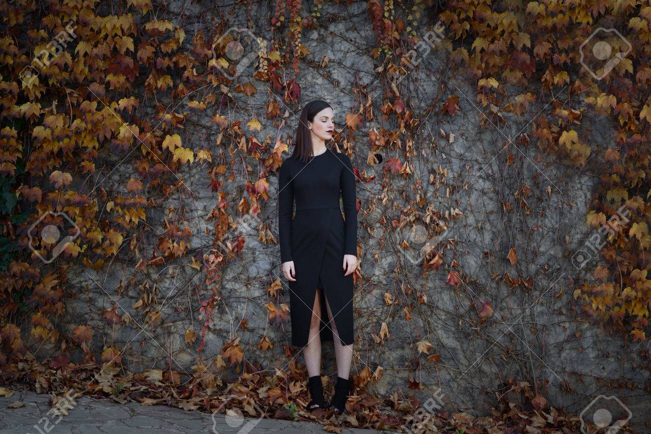 Beautiful young woman, model of fashion, on wall full of autumn leaves, with eyes closed. Fine art photograph - 50534884 Beautiful young woman, model of fashion, on wall full of autumn leaves, with eyes closed. Fine art photograph - 50534884