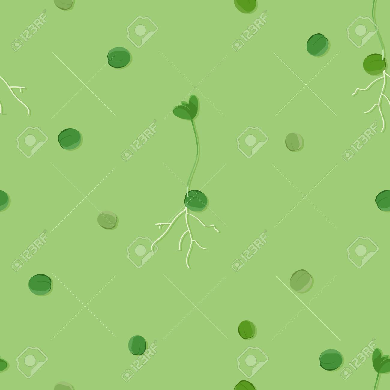 エンドウ豆ベクトル背景イラスト のイラスト素材 ベクタ Image