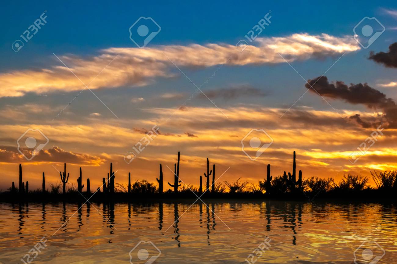 desert oasis at sunset