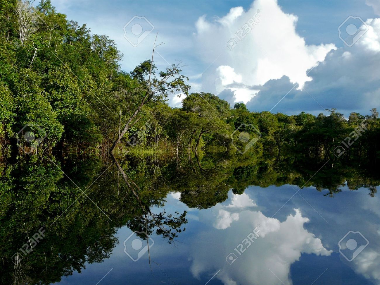 アマゾン川 ブラジルの反射 の写真素材 画像素材 Image