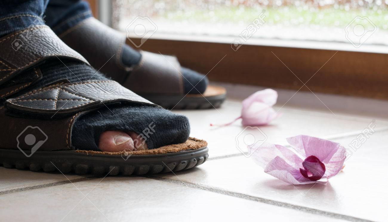 Stock Illustration - 