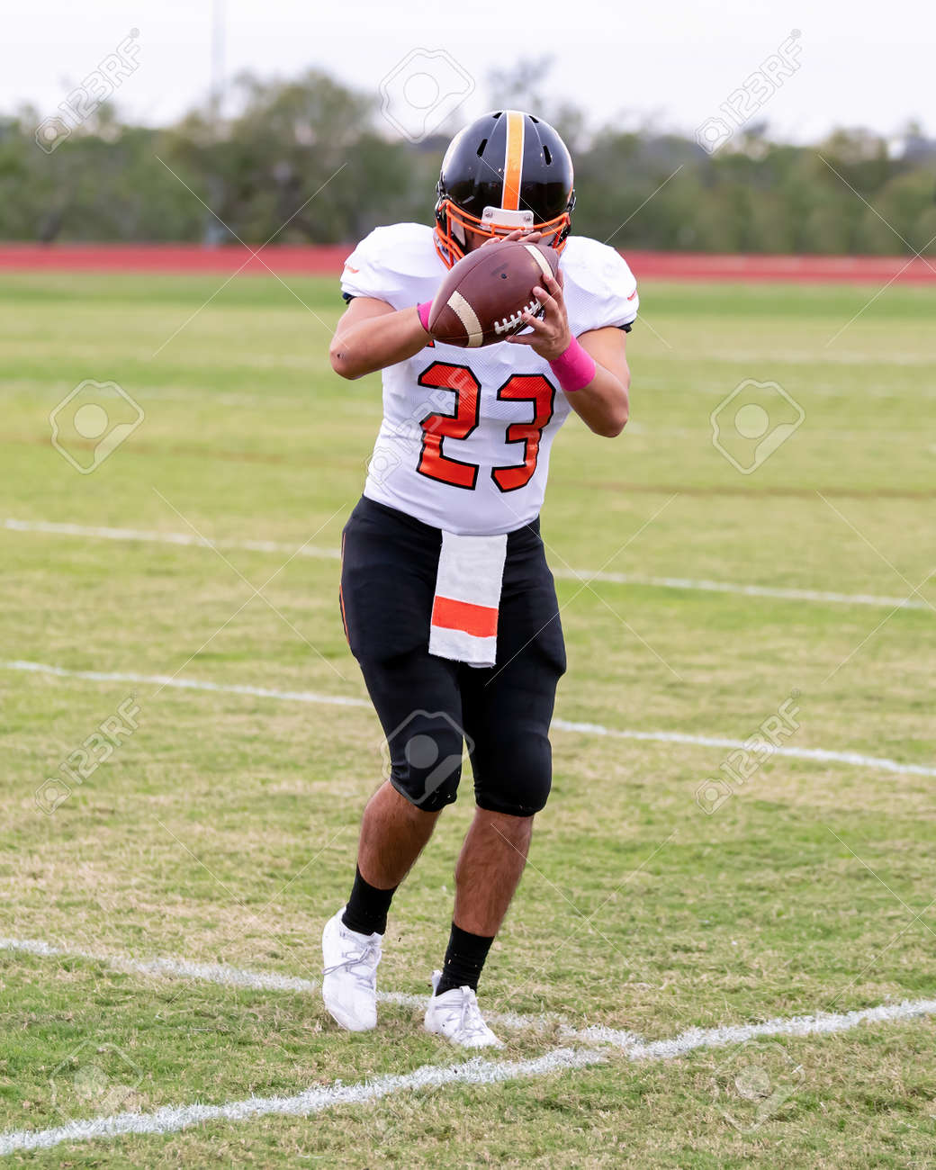 etiam-dictum-ipsum-a-felis