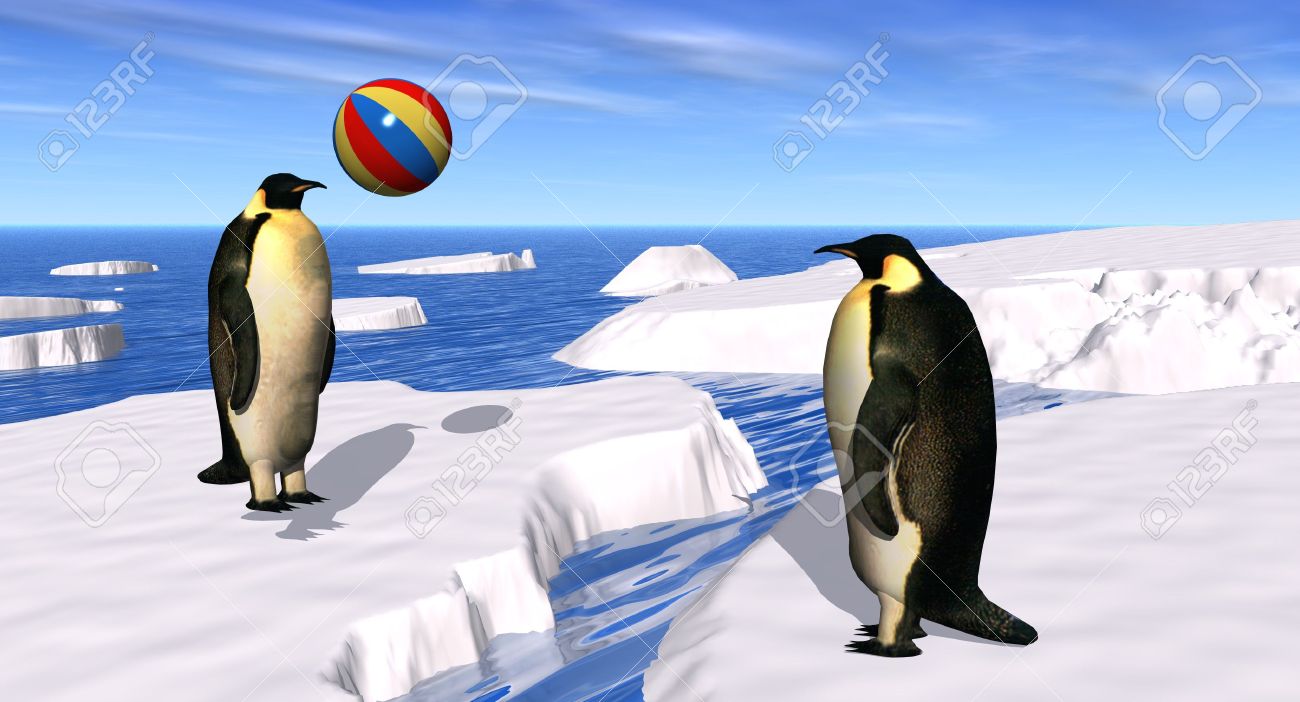 penguin beach ball