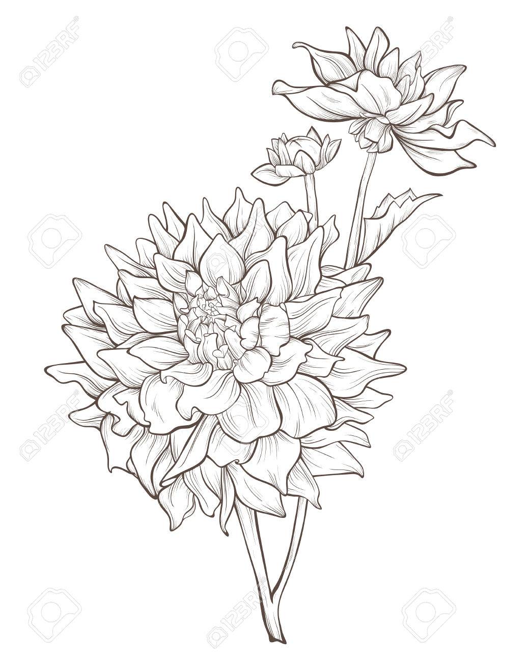 アクリル画　白いダリア アクリル画 白いダリア アクリル画白いダリア