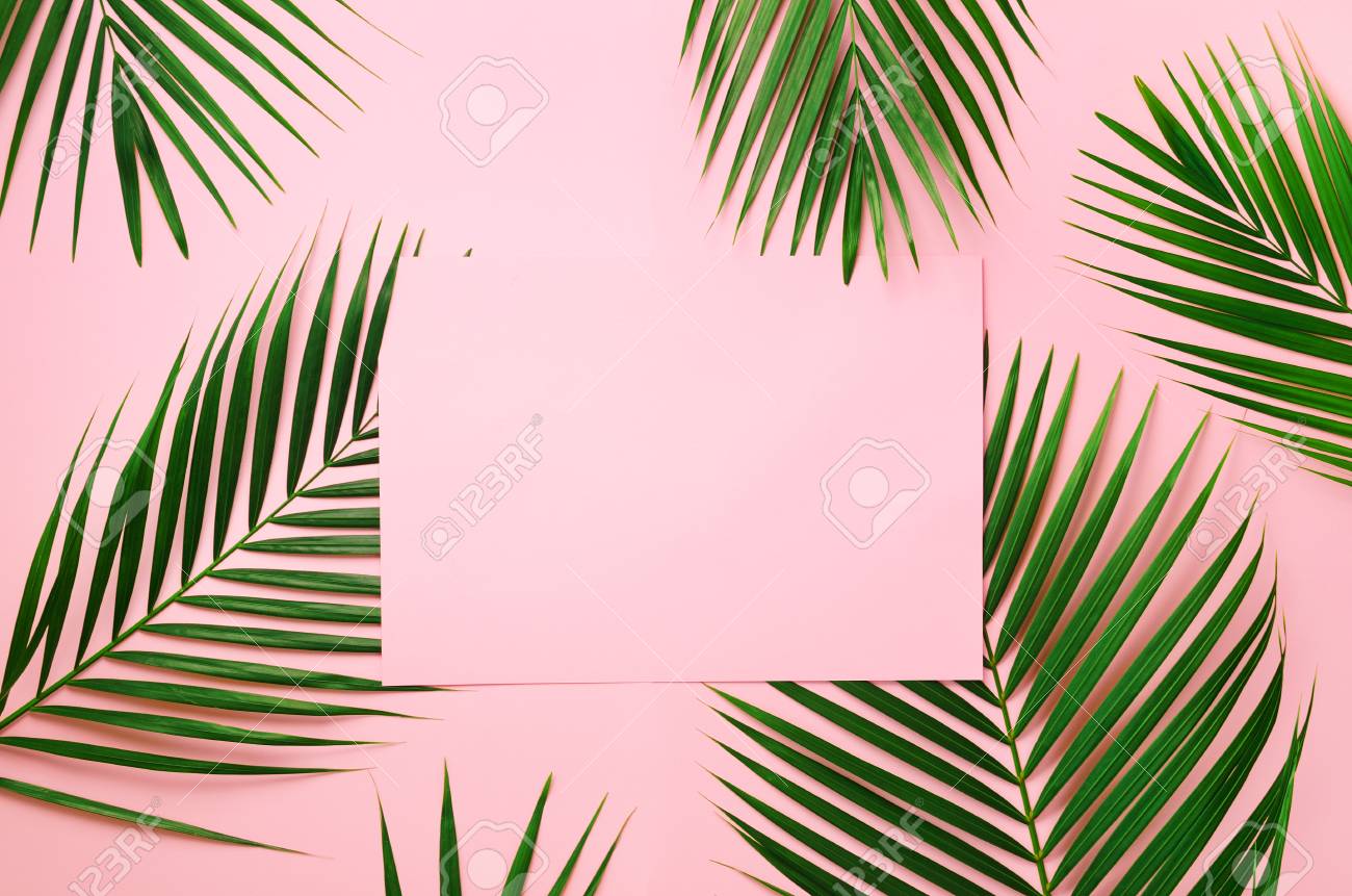 Tropical Palm Leaves On Pastel Pink Background With Paper Card