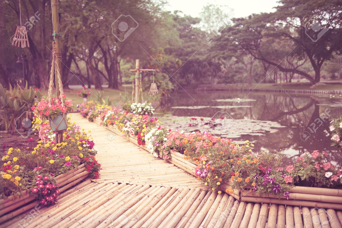 レトロな効果を持つ美しい紫のペチュニアの花風景 の写真素材 画像素材 Image
