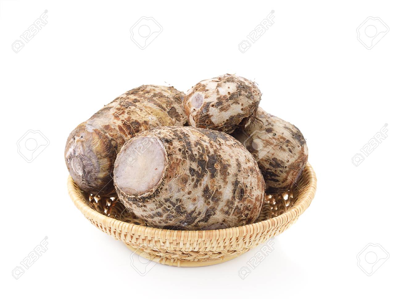 etiam-dictum-ipsum-a-felis