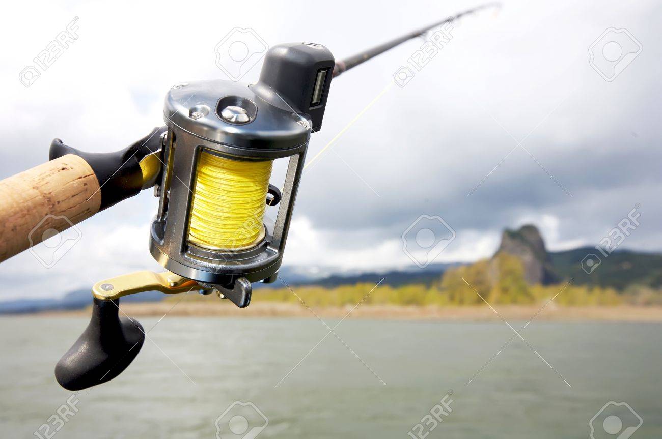 salmon fishing reels