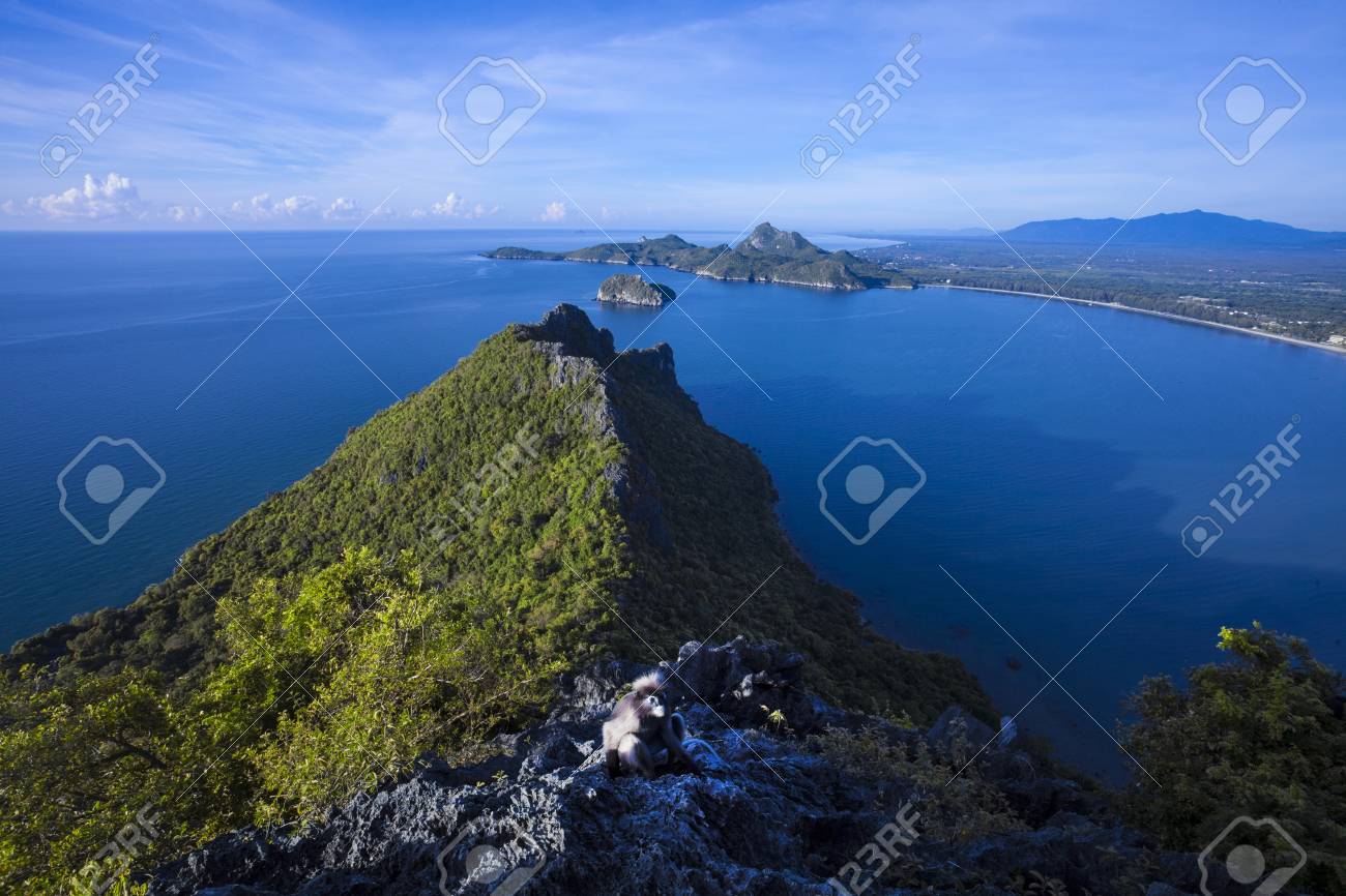 Paisagem Surpreendente Do Verao Com O Sol Do Ceu Azul Do Mar Das Montanhas E Bonito Baia De Prachuap Do Ponto De Vista O Macaco Obscuro Da Folha O Langur Spectacled Ou