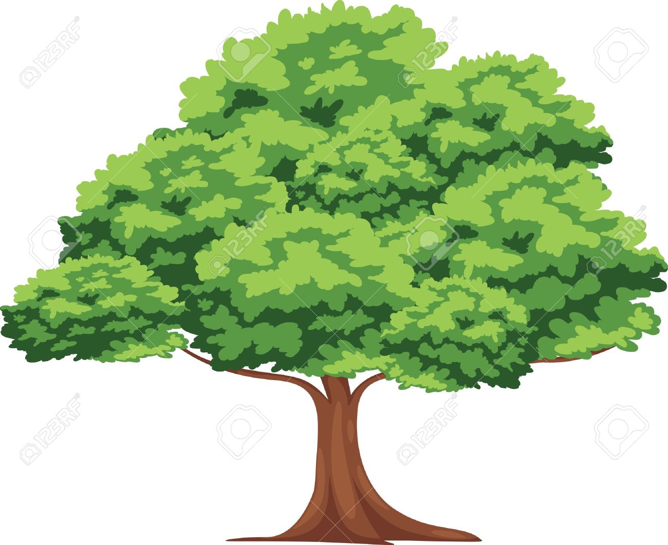 tree vector royalty free cliparts vectors and stock illustration