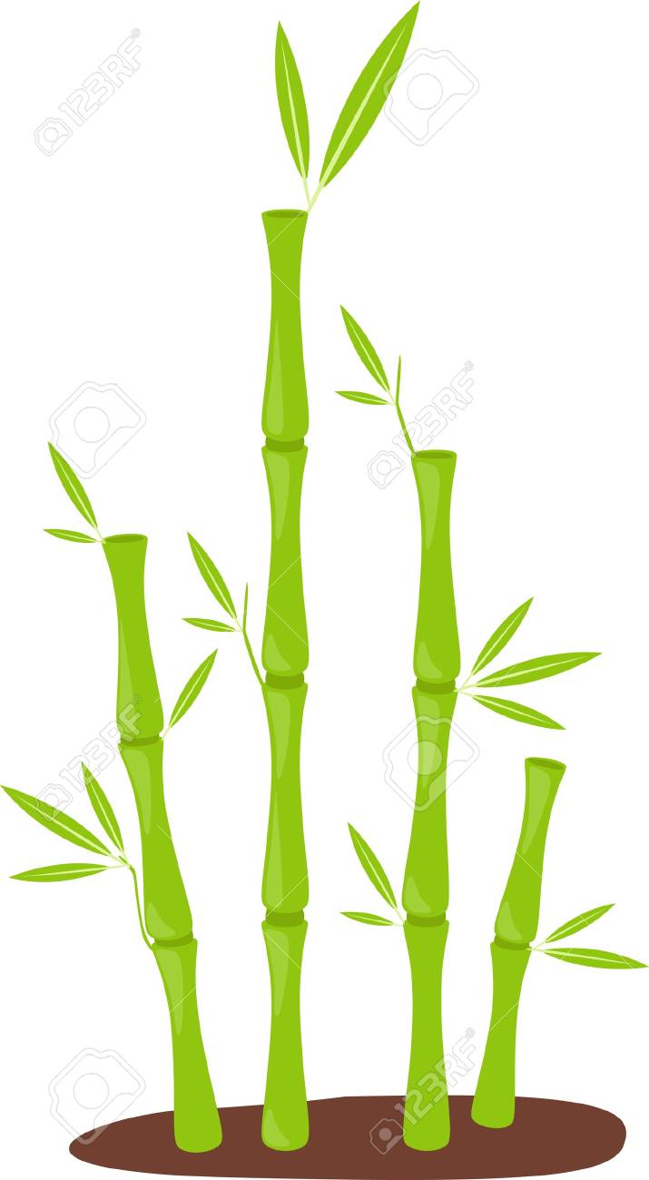 Illustration Bamboo Vector Royalty Free Cliparts Vectors And Stock Illustration Image