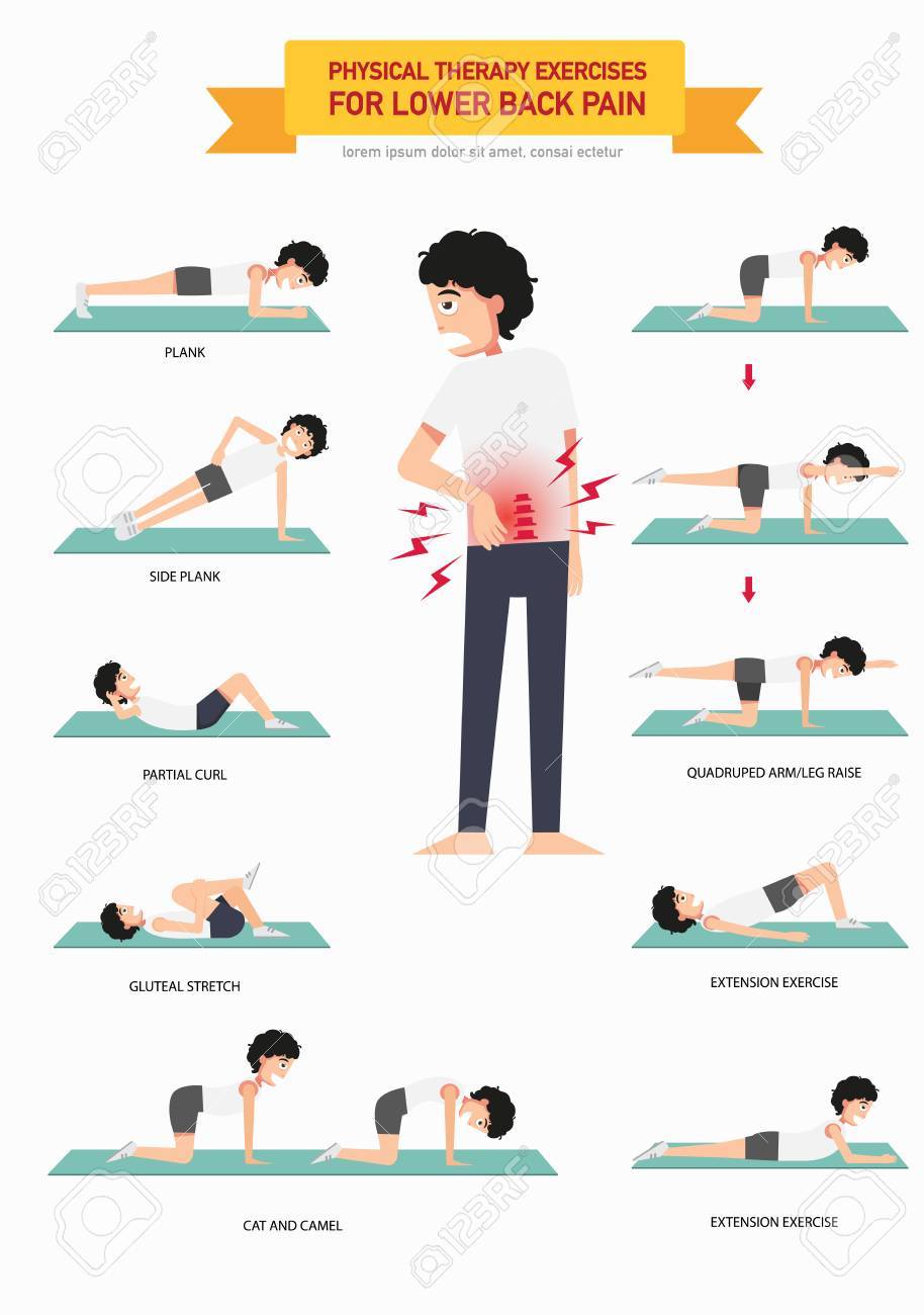 Back Pain Exercises pics Back Pain Exercises foto