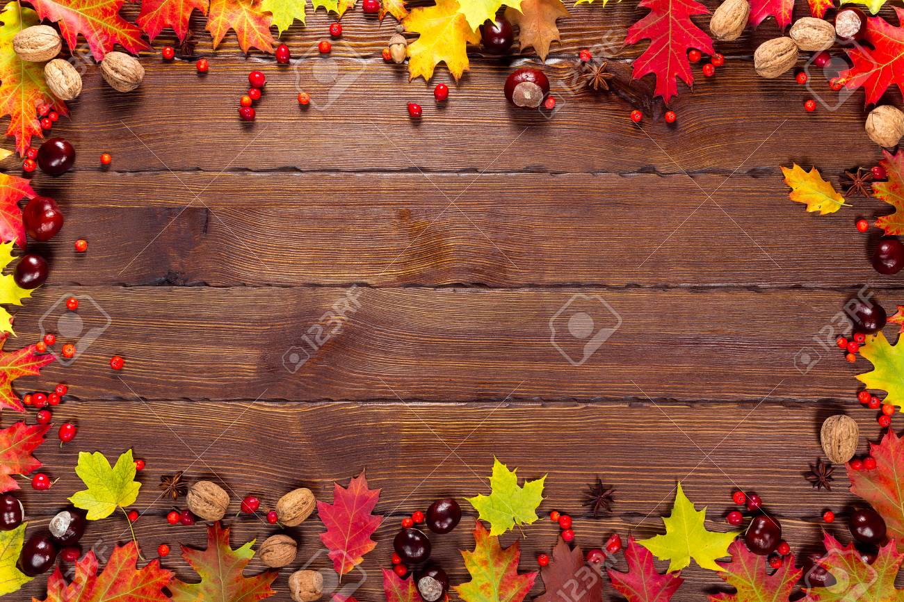 明るい葉 松ぼっくり 栗 果実 黄色の秋の背景 フレーム空き領域を持つ経験豊かな木材収穫の秋 レイアウトで 季節限定のホリデー カード の写真素材 画像素材 Image