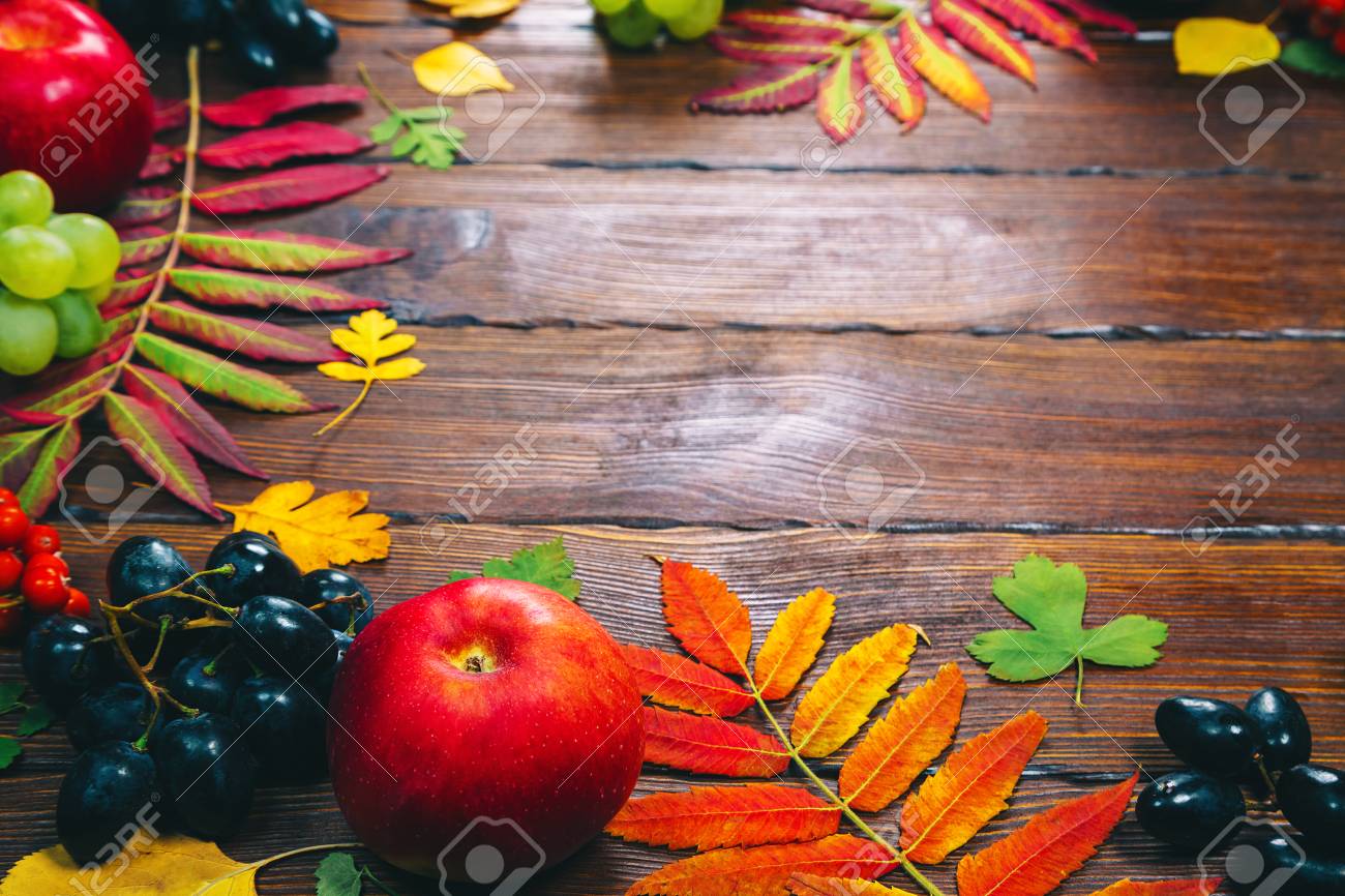 明るい葉 松ぼっくり 栗 果実 黄色の秋の背景 フレーム空き領域を持つ経験豊かな木材収穫の秋 レイアウトで 季節限定のホリデー カード の写真素材 画像素材 Image