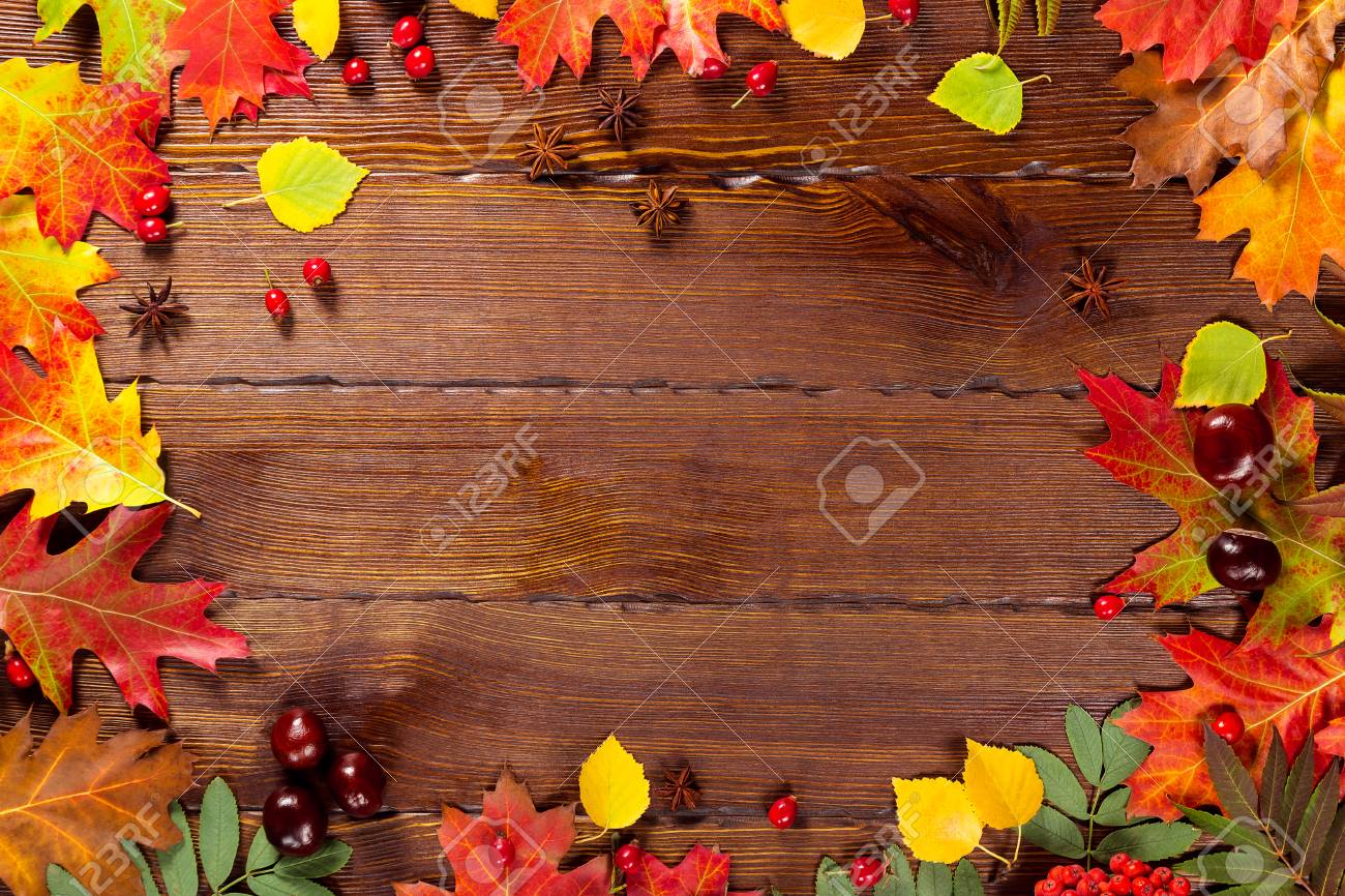 明るい葉 松ぼっくり 栗 果実 黄色の秋の背景 フレーム空き領域を持つ経験豊かな木材収穫の秋 レイアウトで 季節限定のホリデー カード の写真素材 画像素材 Image