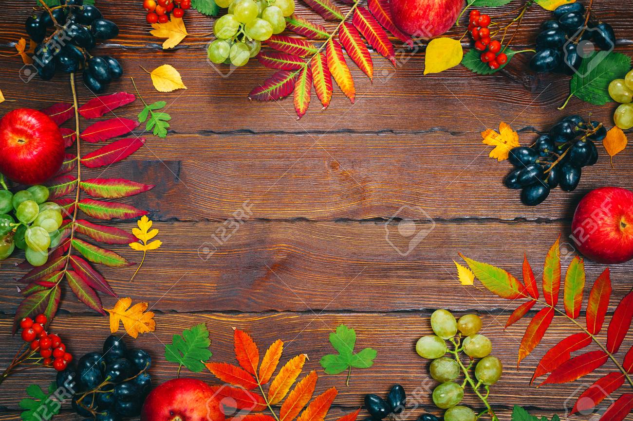 明るい葉 松ぼっくり 栗 果実 黄色の秋の背景 フレーム空き領域を持つ経験豊かな木材収穫の秋 レイアウトで 季節限定のホリデー カード の写真素材 画像素材 Image