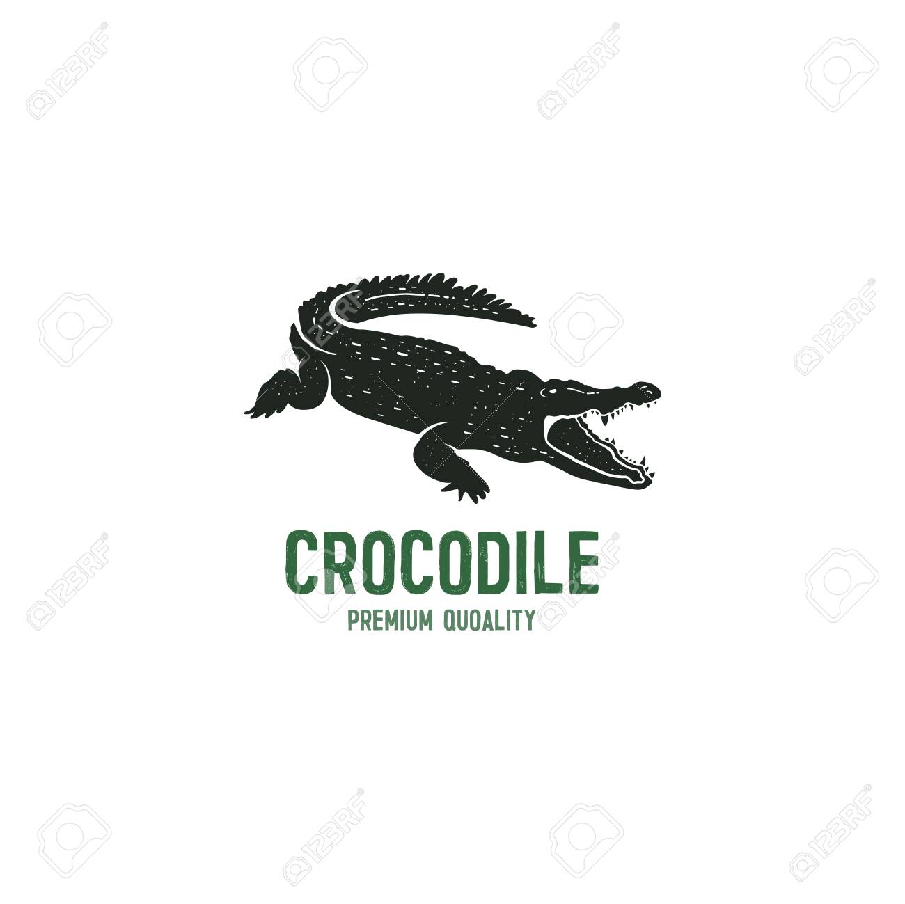 alligator logo