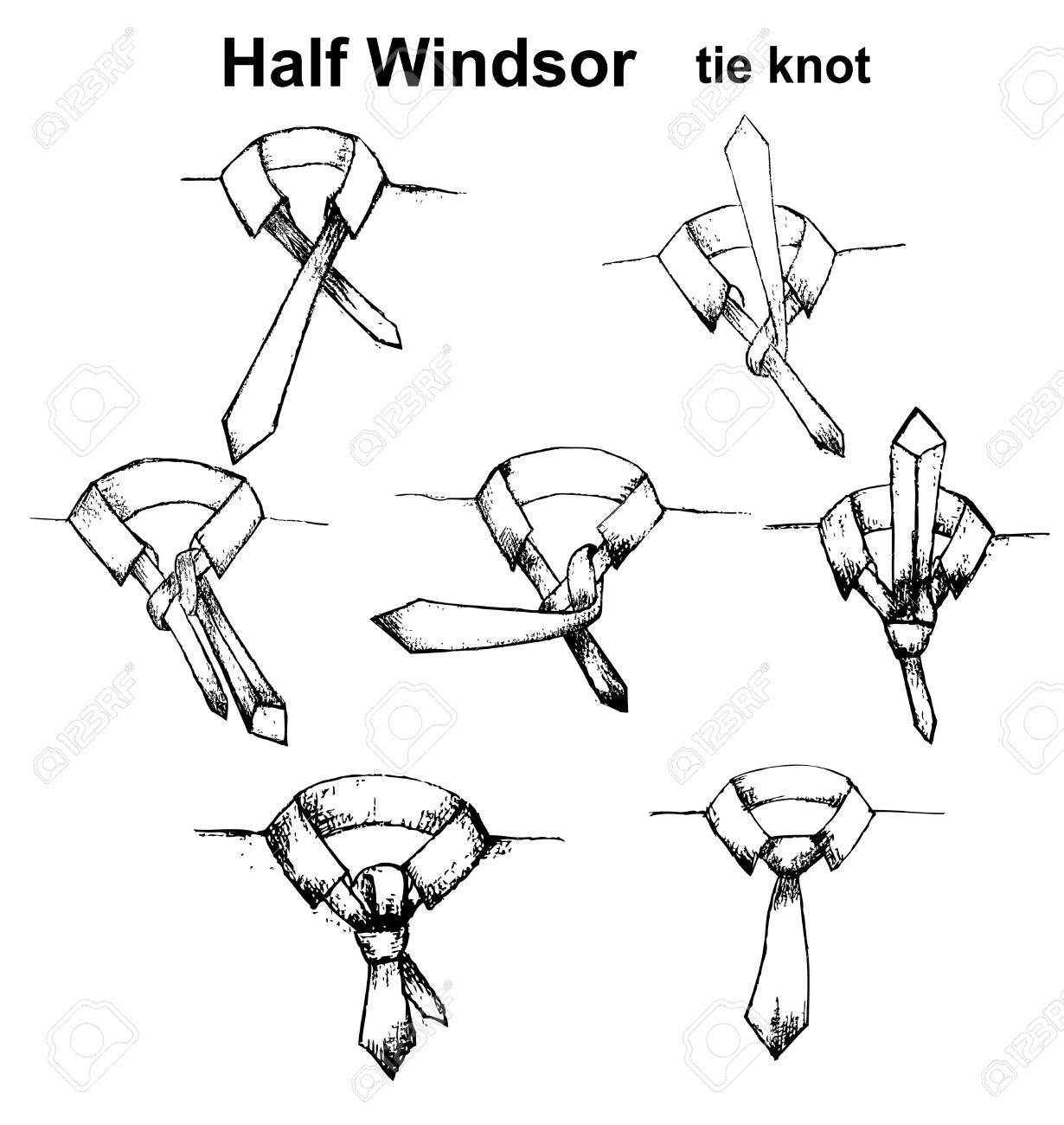 Vector - Vector tie and knot instruction, Half Windsor tie knot
