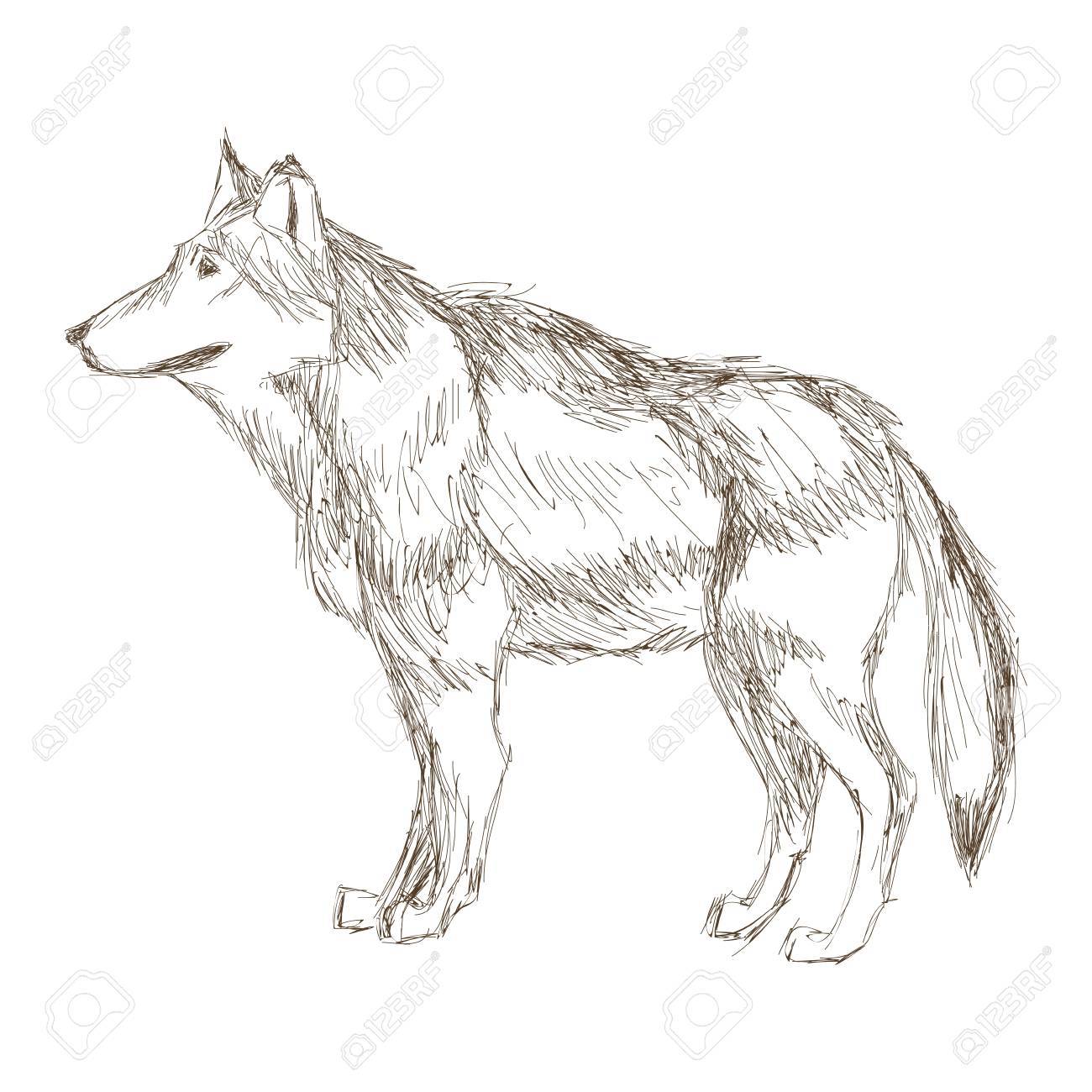 シンプルなフラット デザイン狼横顔スケッチ アイコン ベクトル イラスト動物 のイラスト素材 ベクタ Image シンプルなフラット デザイン狼横顔スケッチ アイコン ベクトル イラスト動物 のイラスト素材 ベクタ Image