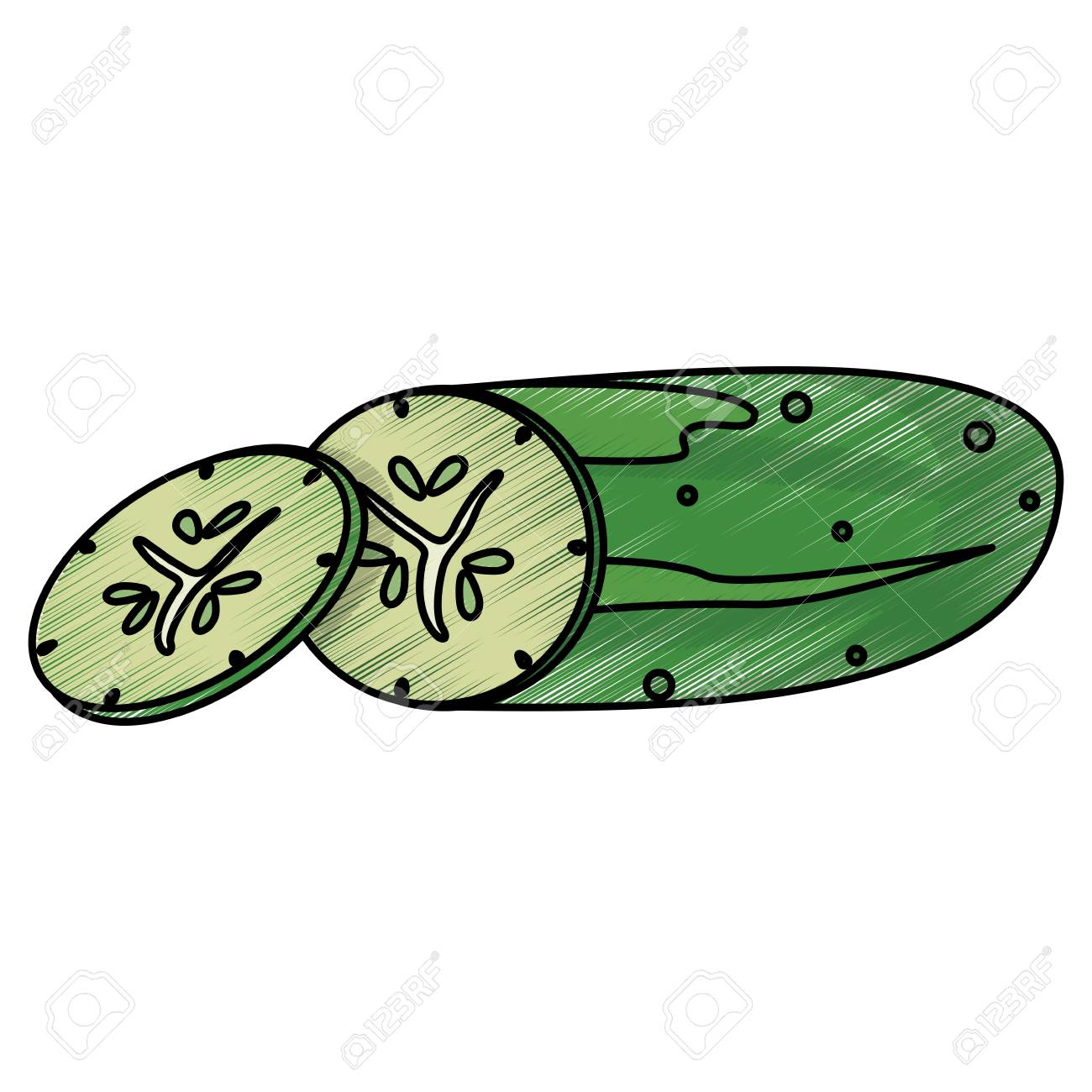 Colored Concept Of Drawing Cucumber Food Nutrition Vector ... for Drawing Cucumber
181obs Colored Concept Of Drawing Cucumber Food Nutrition Vector ... for Drawing Cucumber
181obs
