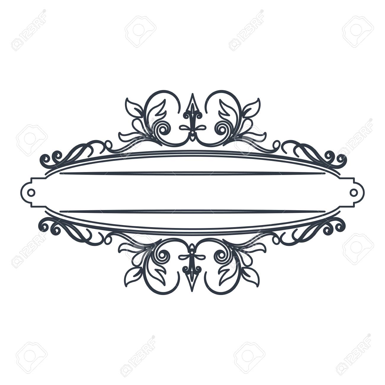 classic signboard swirls decoration template vector illustration