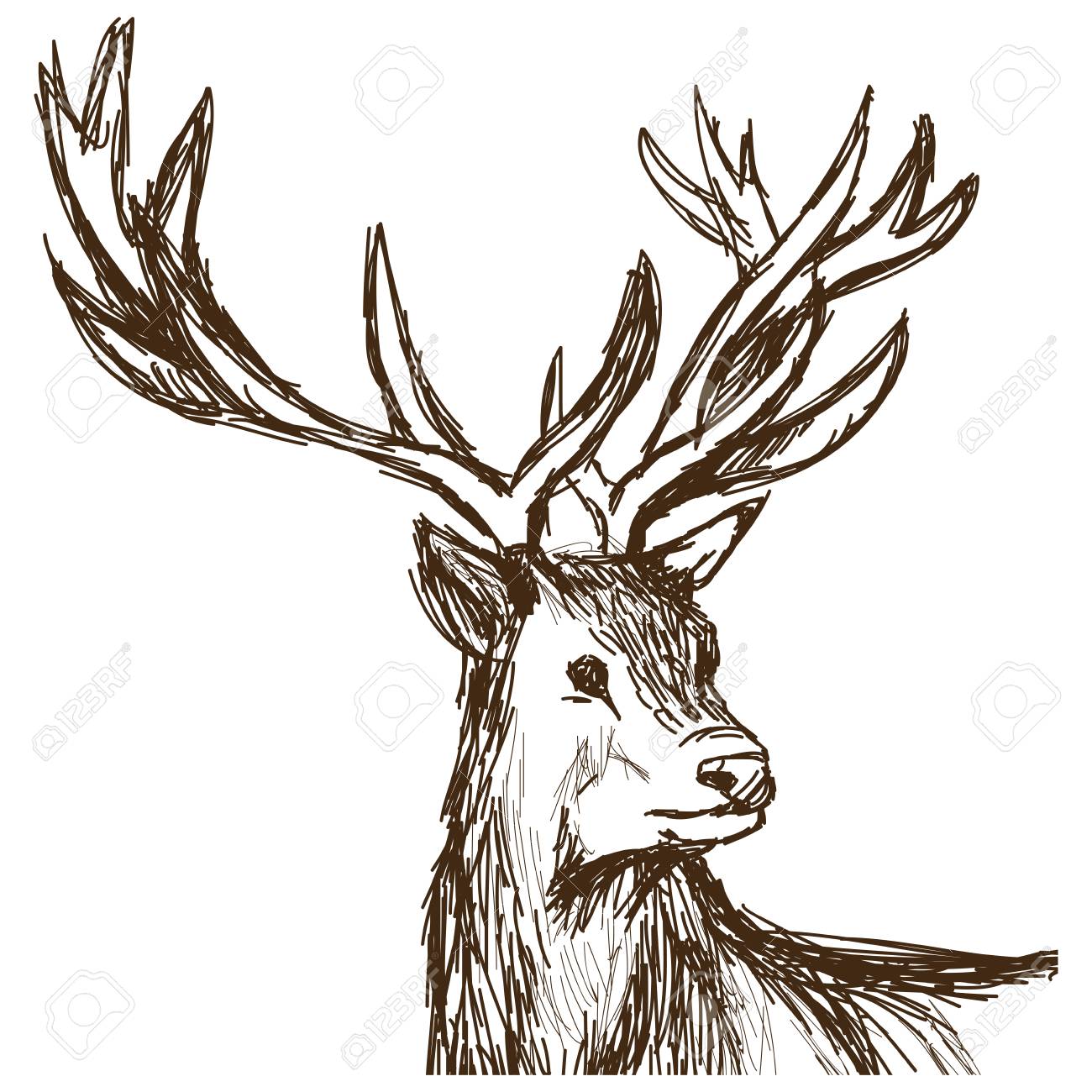 Hand Drawn Deer Big Antlers Wildlife Poster Face Graphic Sketch