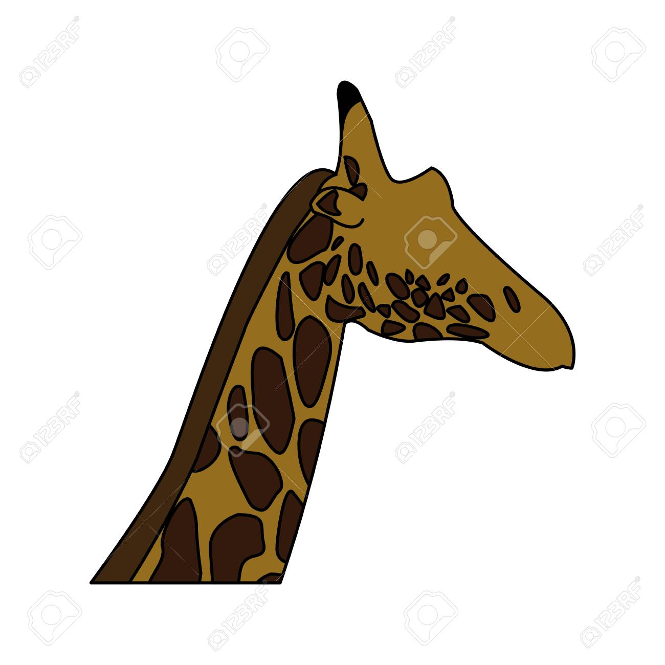 頭キリン動物草食動物アフリカの野生動物のベクトル図 のイラスト素材 ベクタ Image 8161